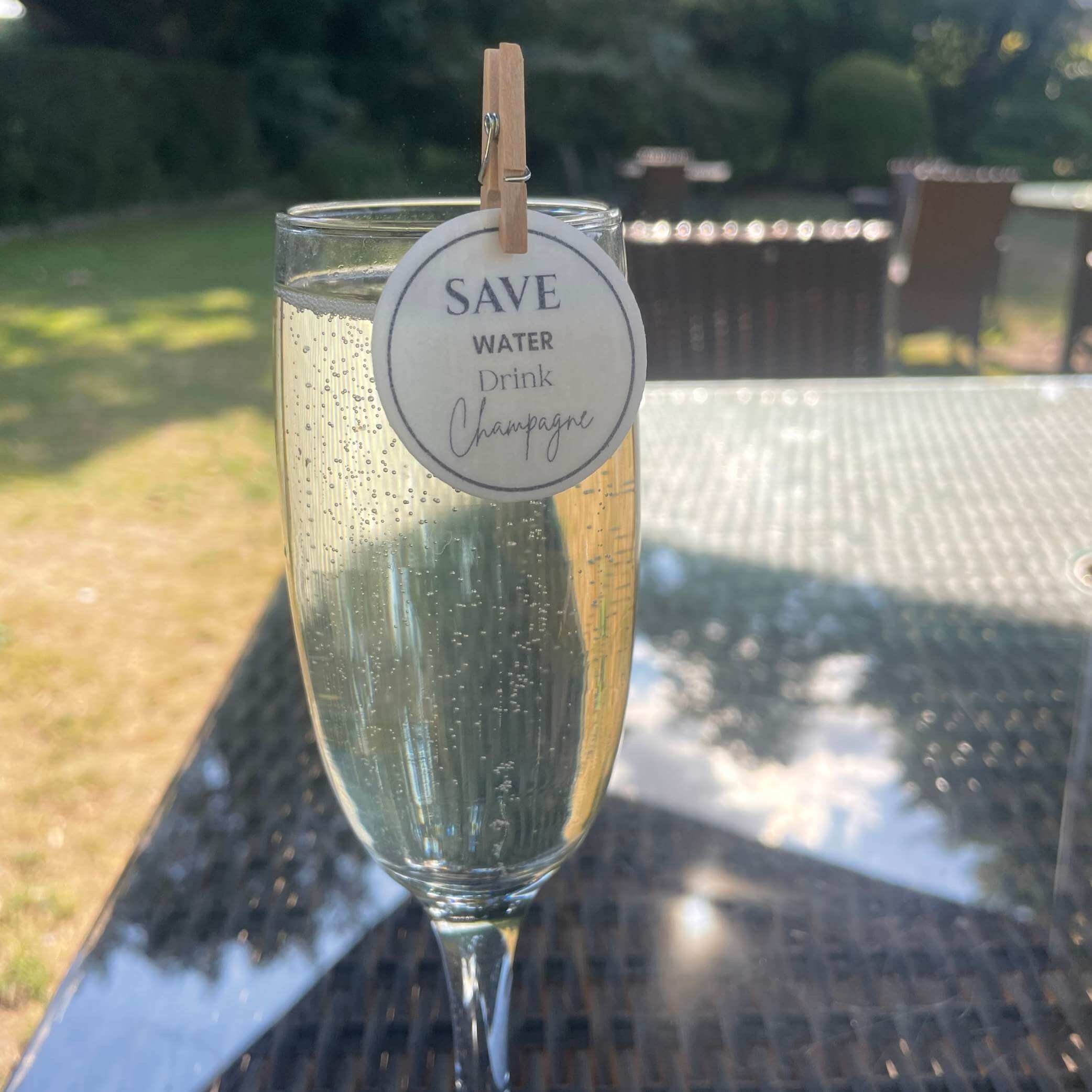 Save Water Drink Champagne Edible Drink Toppers